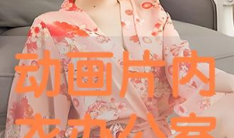 内衣办公室动漫全集,激情四溢的职场风云录