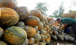 灵溪县最新吃瓜爆料,揭秘最新爆料背后的真相