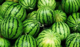 灵溪县最新吃瓜爆料,揭秘最新爆料背后的真相