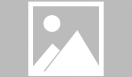 成人动漫在线播放,在线播放的奇幻之旅