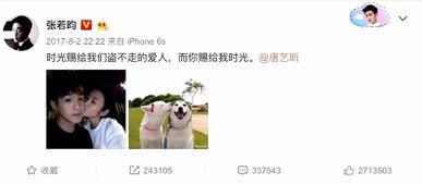 娱乐圈吃瓜张翰视频大全,张翰视频大全,吃瓜群众必看! 第3张 娱乐圈吃瓜张翰视频大全,张翰视频大全,吃瓜群众必看! 第3张